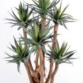 Agave*7 Artificielle