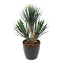 YUCCA Artificiel BABY *3