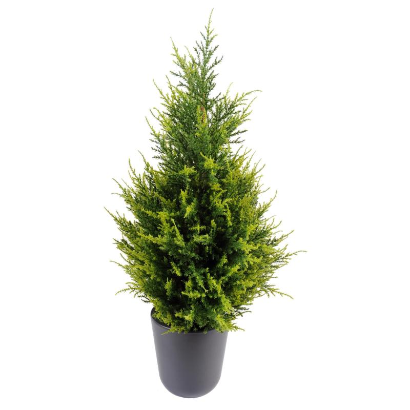 Cyprès artificiel Junipérus