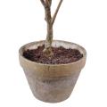 Hortensia artificiel Pot en Terre