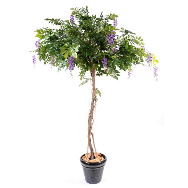 Glycine Round Artificielle 235 cm Fleurs Mauves Tronc Bois Naturel