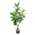 Rubber TREE Artificiel