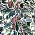 Ficus artificiel tronc simple grandes feuilles