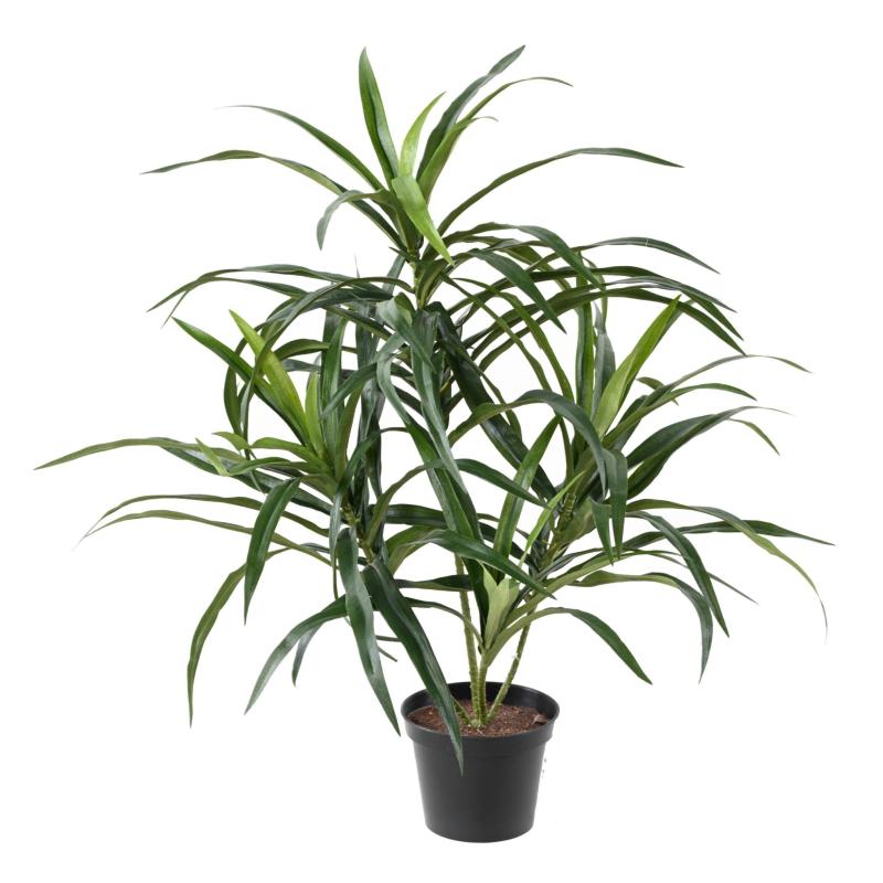 Dracena artificiel Anita (Draceana)