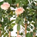 Rosier Artificiel Royal Palissade Large