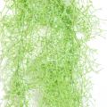 Tillandsia Artificiel Chute