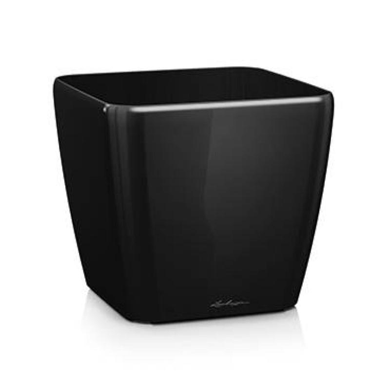 Quadro Premium - Noir brillant