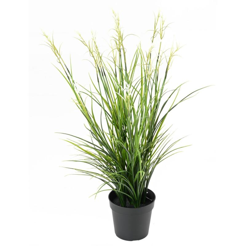 Acorus Artificiel Fleuri Pot