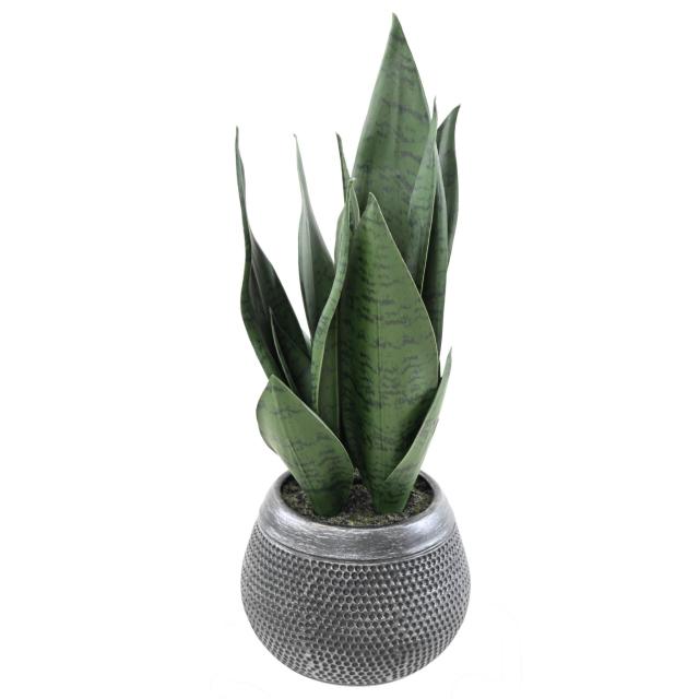 Sansevieria Artificiel 49