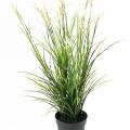 Acorus Artificiel Fleuri Pot
