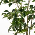 Ficus Artificiel