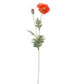 Pavot Artificiel 72