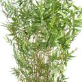 Bambou artificiel Multitree Oriental