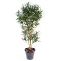 Dracaena Artificiel Anita