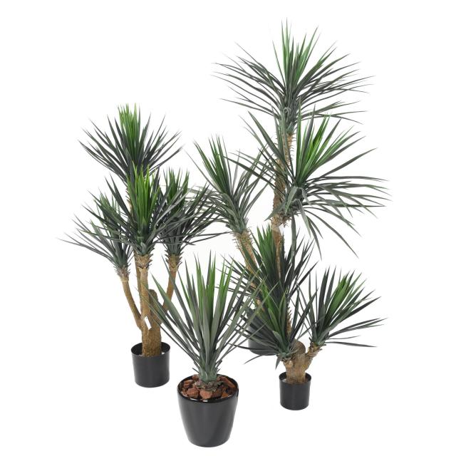 Yucca Artificiel Rostrata 40