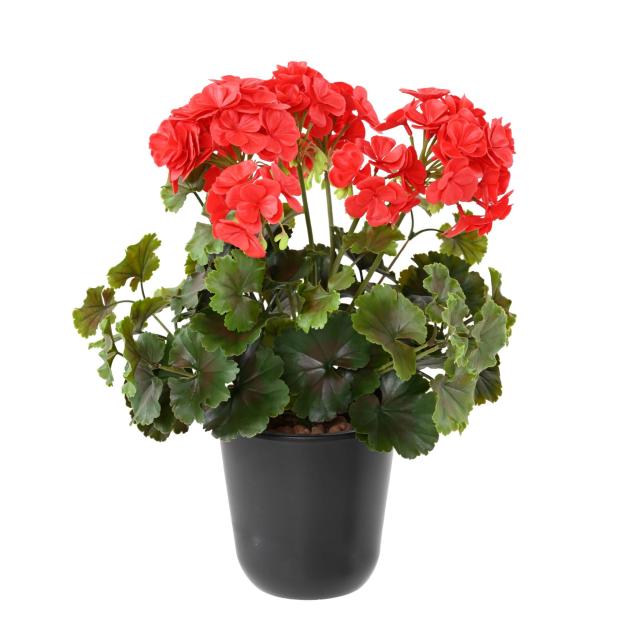Geranium UV Artificiel