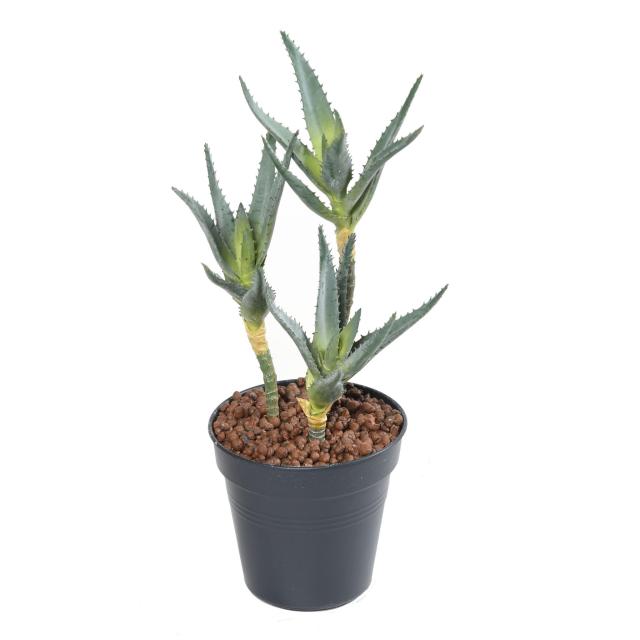 Aloe 35 Artificielle 3 Têtes