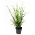 Acorus Artificiel Fleuri Pot