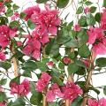 Bougainvillee Artificiel Large Palissade UV