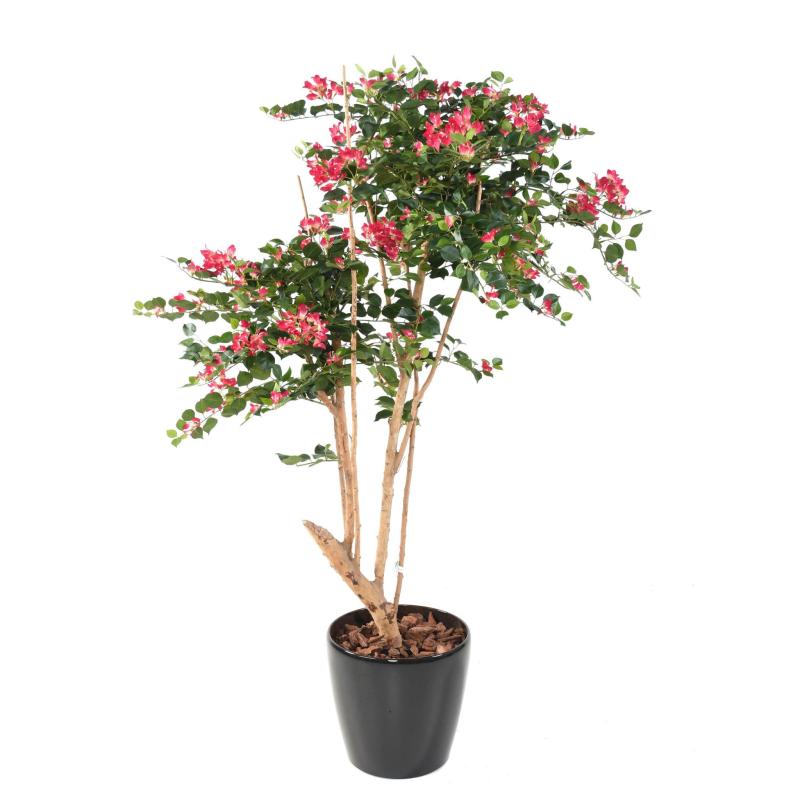 Bougainvillée Artificiel Root
