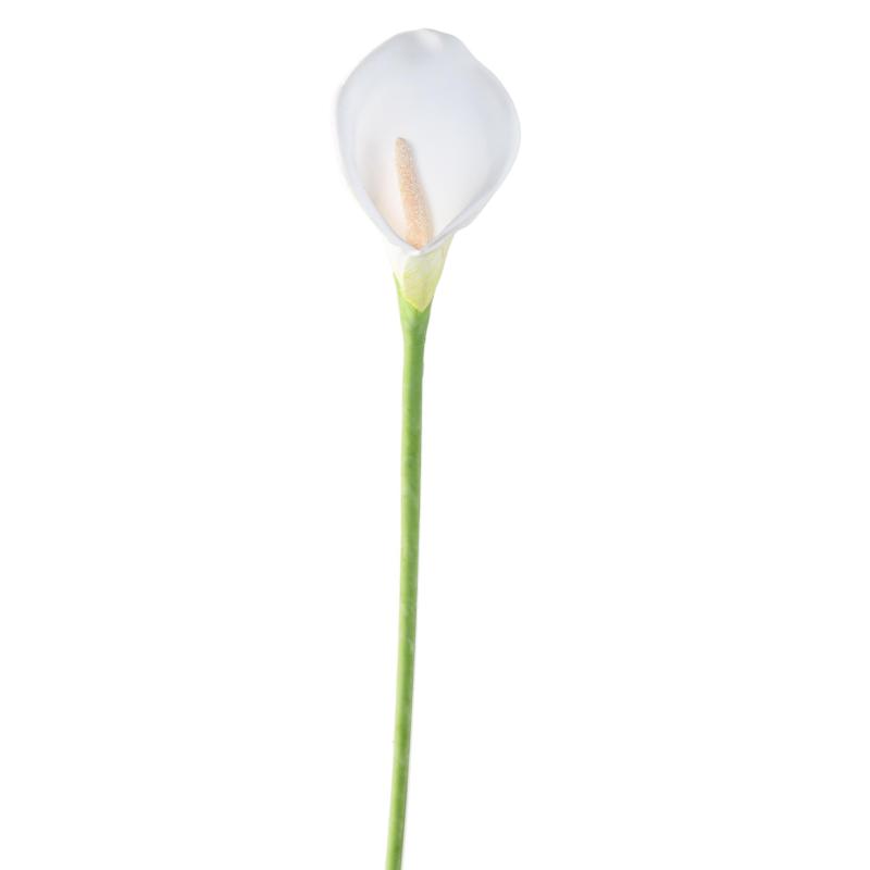 AROME Artificiel (ARUM)