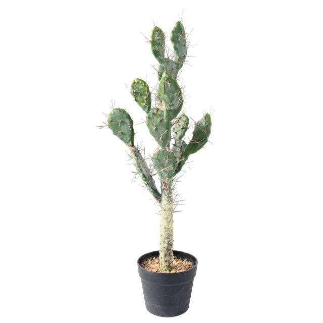 Cactus Artificiel - Cactées et Succulentes Artificielles