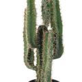 Cactus artificiel Finger