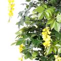 Glycine artificielle Multi Tree