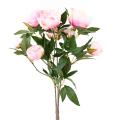 Pivoine *6 Artificielle