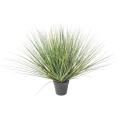 Onion Grass Artificiel NEW Round
