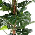 Philodendron Artificiel Tuteur Coco NEW