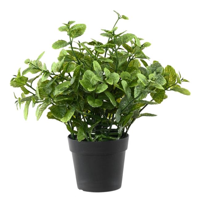 Menthe Artificielle 25 Pot