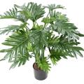 Philodendron Artificiel Selloum