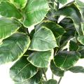 Rubber TREE Artificiel