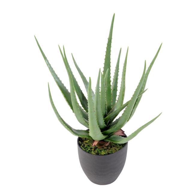 Aloe Artificielle en Pot 60 cm OU 70 cm de Haut en Polyuréthane Vert