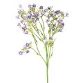 Myosotis Artificielle Mini