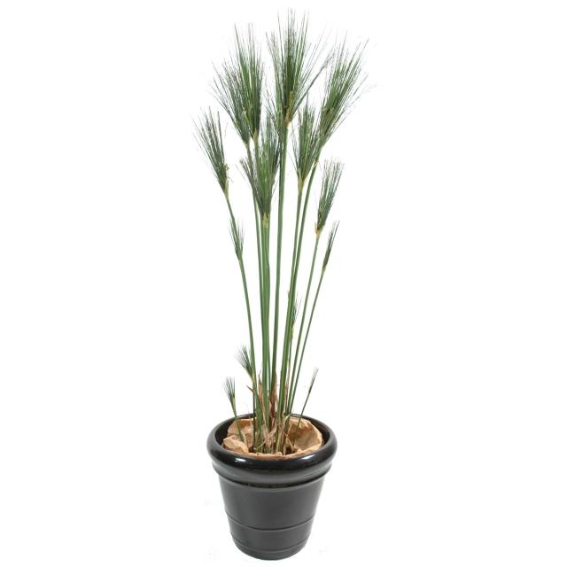 Papyrus Cyperus Artificiel en Nylon Vert 125 cm et 155 cm
