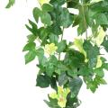 Petunia Artificiel Chute