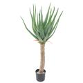 Aloevera Artificielle 125