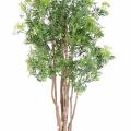 Aralia artificiel Ming Nitida 10 troncs
