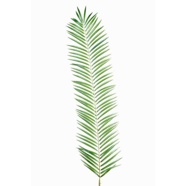 Palme Artificielle de Palmier Phoenix de 110 cm de Haut