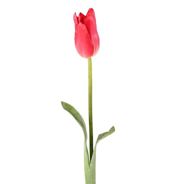 Tulipe Artificielle de 79 cm de Hauteur et 5 cm de Diamètre