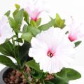 Petunia Artificiel *7