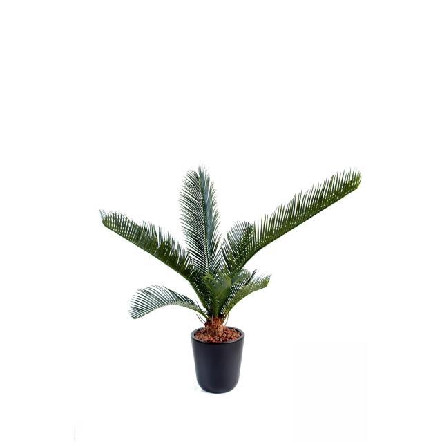 Cycas Baby Artificiel 60 cm