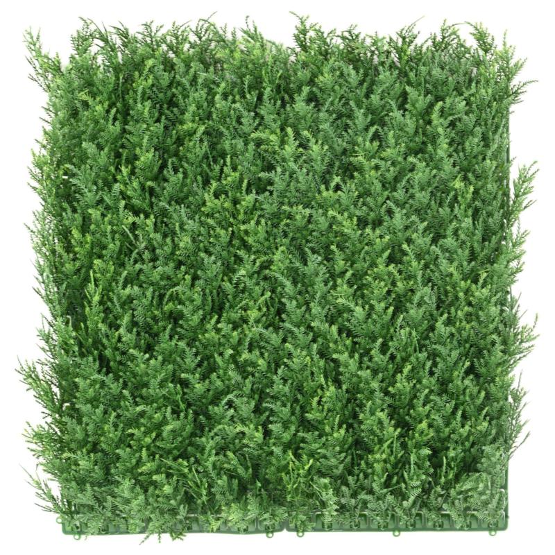Cypres Artificiel Plaque NEW 50*50