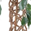 Ficus artificiel cage