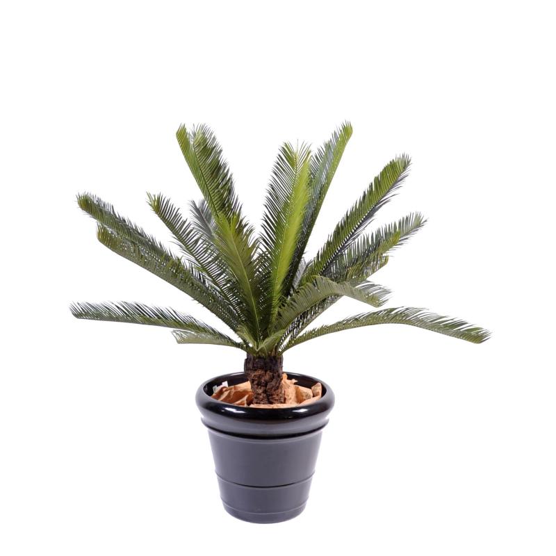Cycas artificiel tronc