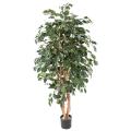 Ficus artificiel exotica