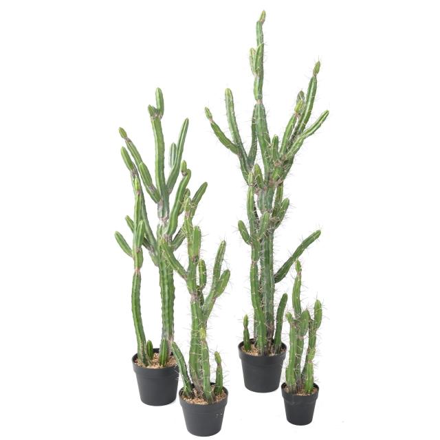 Cactus Artificiel Finger F