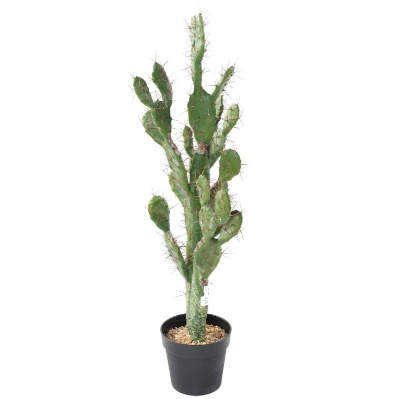 CACTUS Artificiel